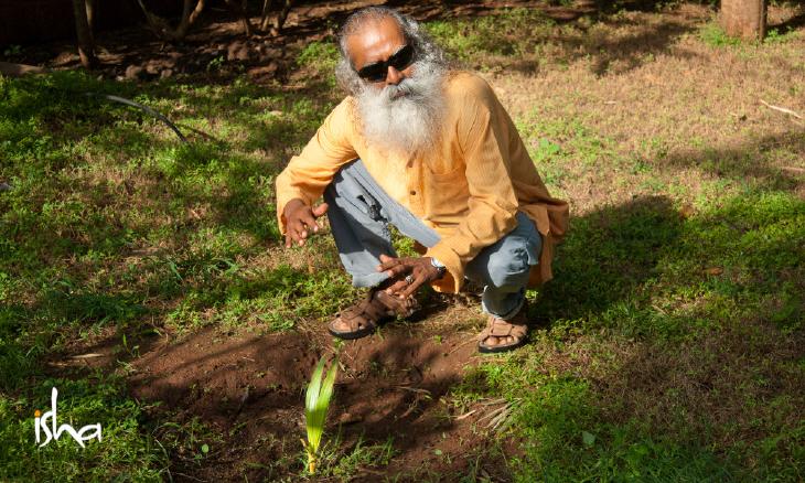 saving indias soil through better farming