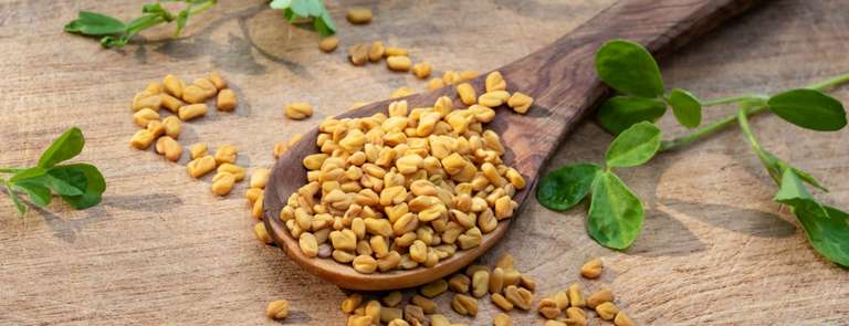 fenugreek 1 1499466158