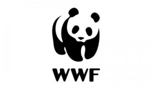 wwf logo