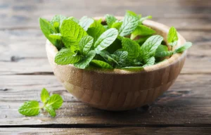 10 Health Benefits of Pudina Mint Leaves You Must Know 345x345@2x