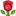 🌹
